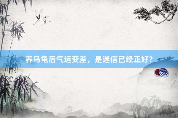 养乌龟后气运变差，是迷信已经正好？