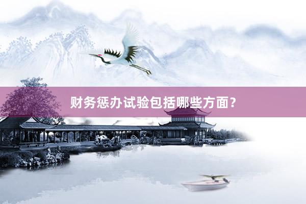 财务惩办试验包括哪些方面？